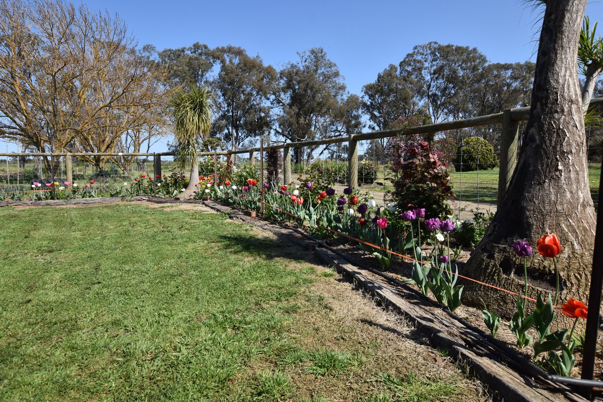 93 Dunbar Road, Kyabram