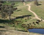 2102 Turondale Road, Turondale