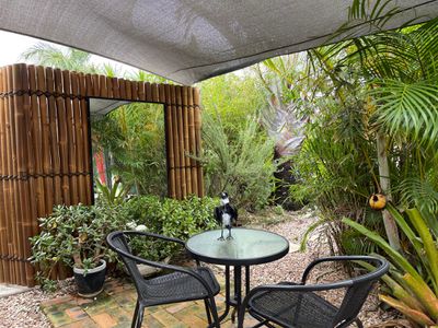 37 Yarrilee Circuit, Dundowran