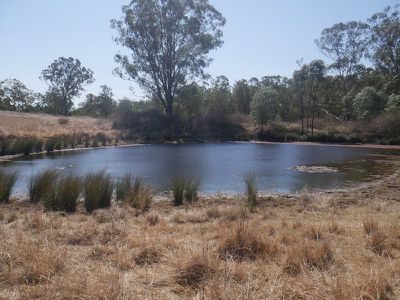 322 Mcauliffes Road, Kingaroy