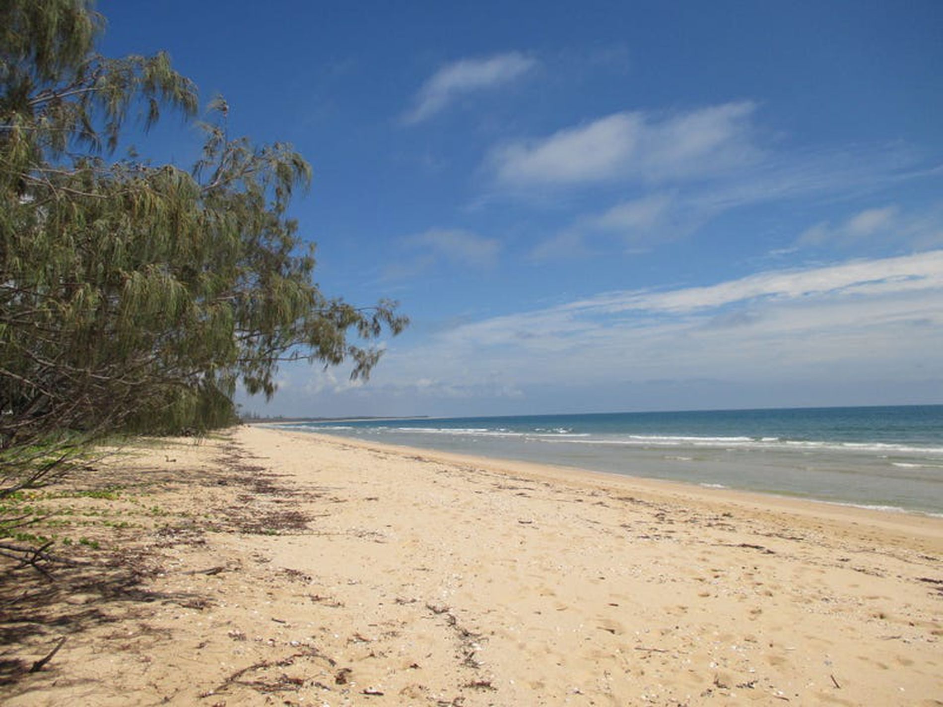36 First Ave, Woodgate