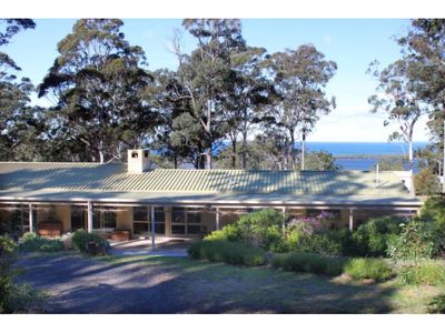 132 Turingal Head Road, Wallagoot