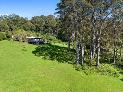 490 Punkalla Tilba Rd, Central Tilba