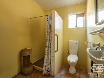 1043 Wallangra Road, Wallangra