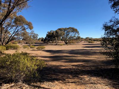 60D Mt. Kerang Road, Buckrabanyule