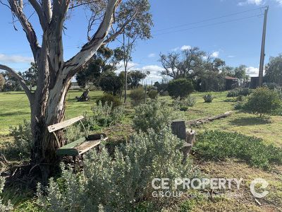 2943 Randell Road, Mannum