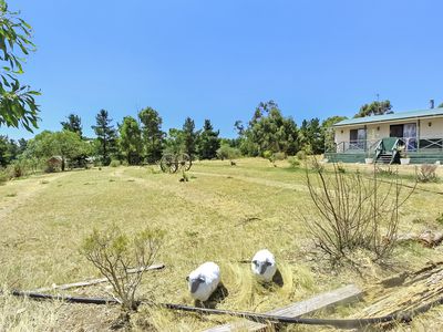 169 Wappentake Lane, Heathcote