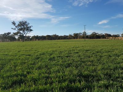 458 Sir Ivan Dougherty Drive, Dunedoo