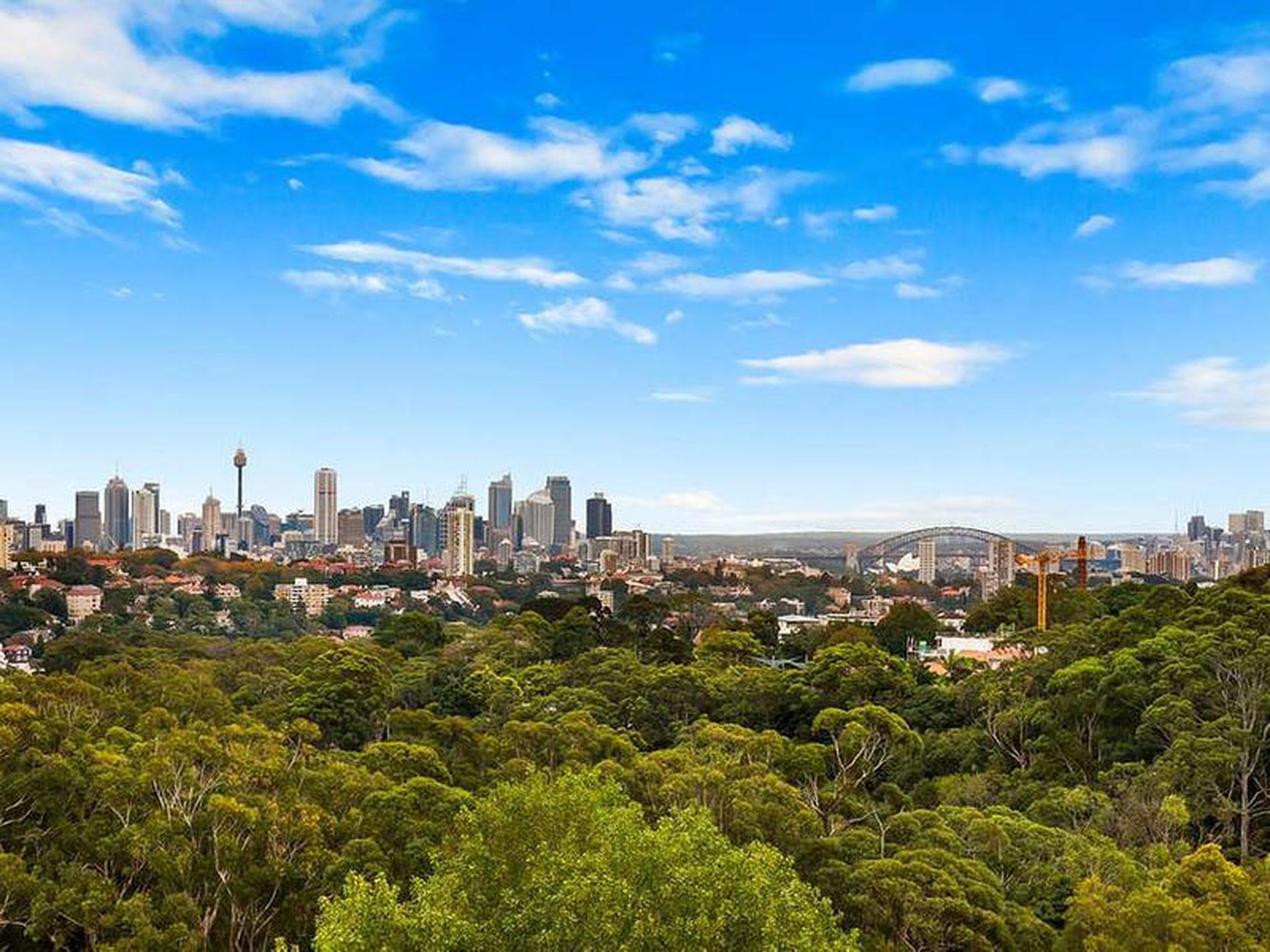 17 / 206 Victoria Road, Bellevue Hill