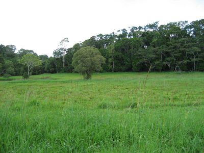 Lot Lot 11, 11 Rosewood Close, Malanda