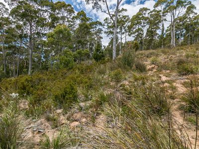 29 Cowen Joe Road, Gardners Bay