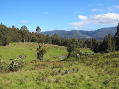 Halls Track Road, Pelverata