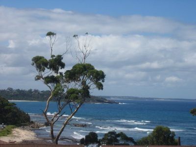 8 / 28 Buchan Street, Mollymook