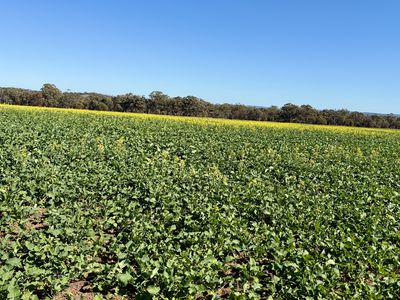 Lot 32 Rumble Road, Kokeby