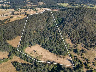 694 Pipeclay Road, Pipeclay