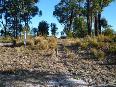 Lot 1015 Lot 1015 Rose Gum Avenue, Ulladulla