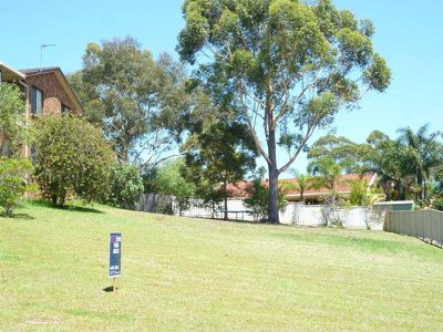 41 Leo Drive, Narrawallee