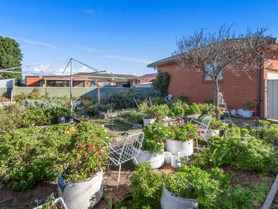 19 Waratah Street, Windang