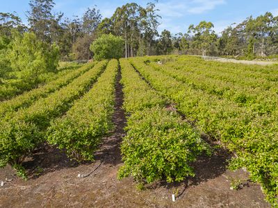 215 Scarrs Road, Garden Island Creek