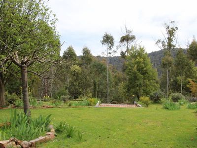2700 Mansfield Whitfield Road, Tolmie