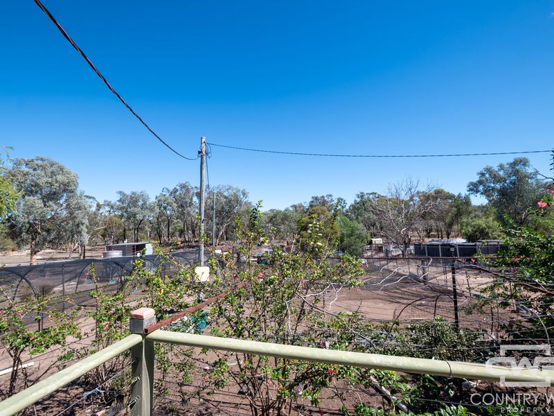 1043 Wallangra Road, Wallangra