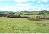4925 Mitchell Highway, Orange
