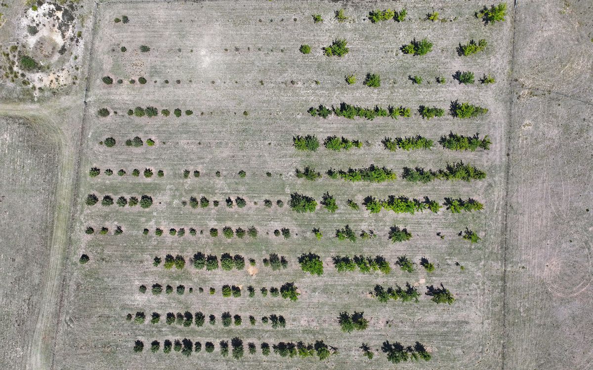 760 Wallaces Gap Road, Braidwood