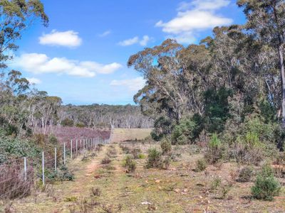 Lot 193 / 443 Back Creek Road, Mongarlowe