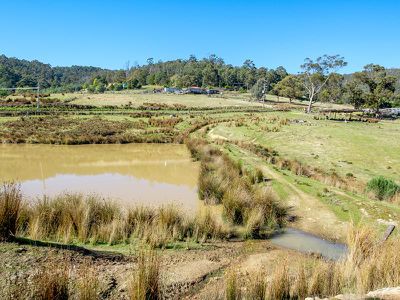 Ra Alans Road, Petcheys Bay