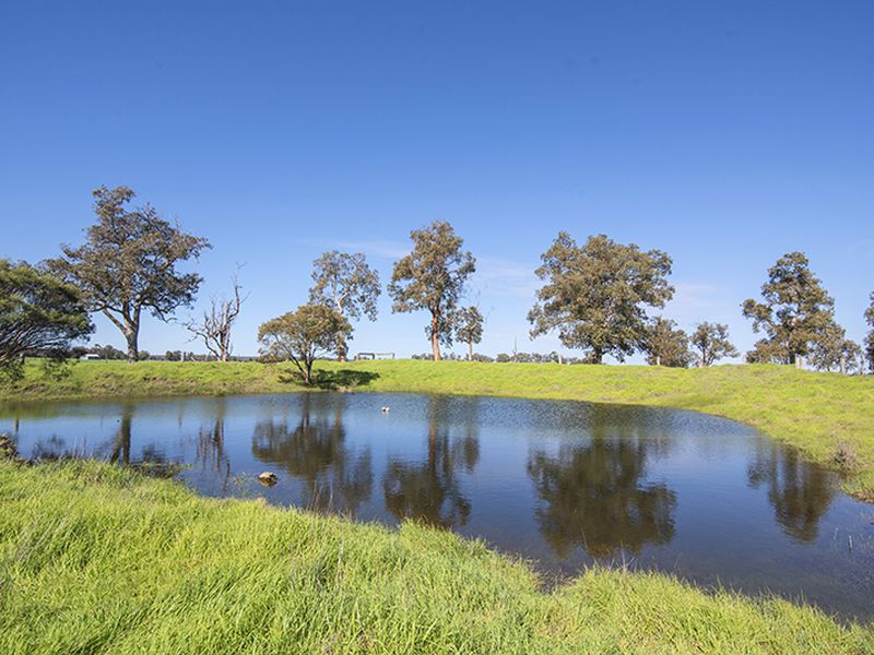 972 CAPEL TUTUNUP ROAD, Tutunup