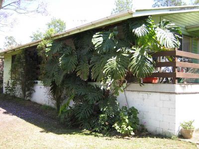 12 Jones Street, Bundamba