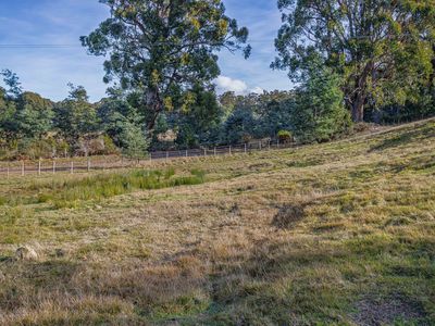Lot 2, Andrewartha Road, Raminea