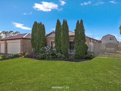 16 Huntingdale Close, Cranbourne