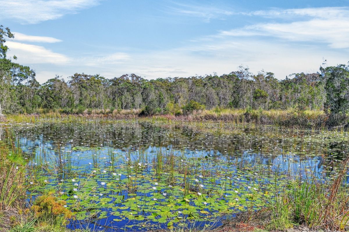 Lot 169 Oakview Drive, Hallidays Point