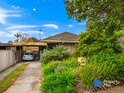 28 Putnam Avenue, Strathdale