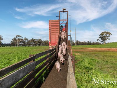 499 Old Wedderburn Road, Slaty Creek