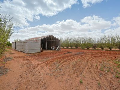 88 Parraweena Road, Coomealla