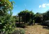 133 Carbine Road, Forest Reefs