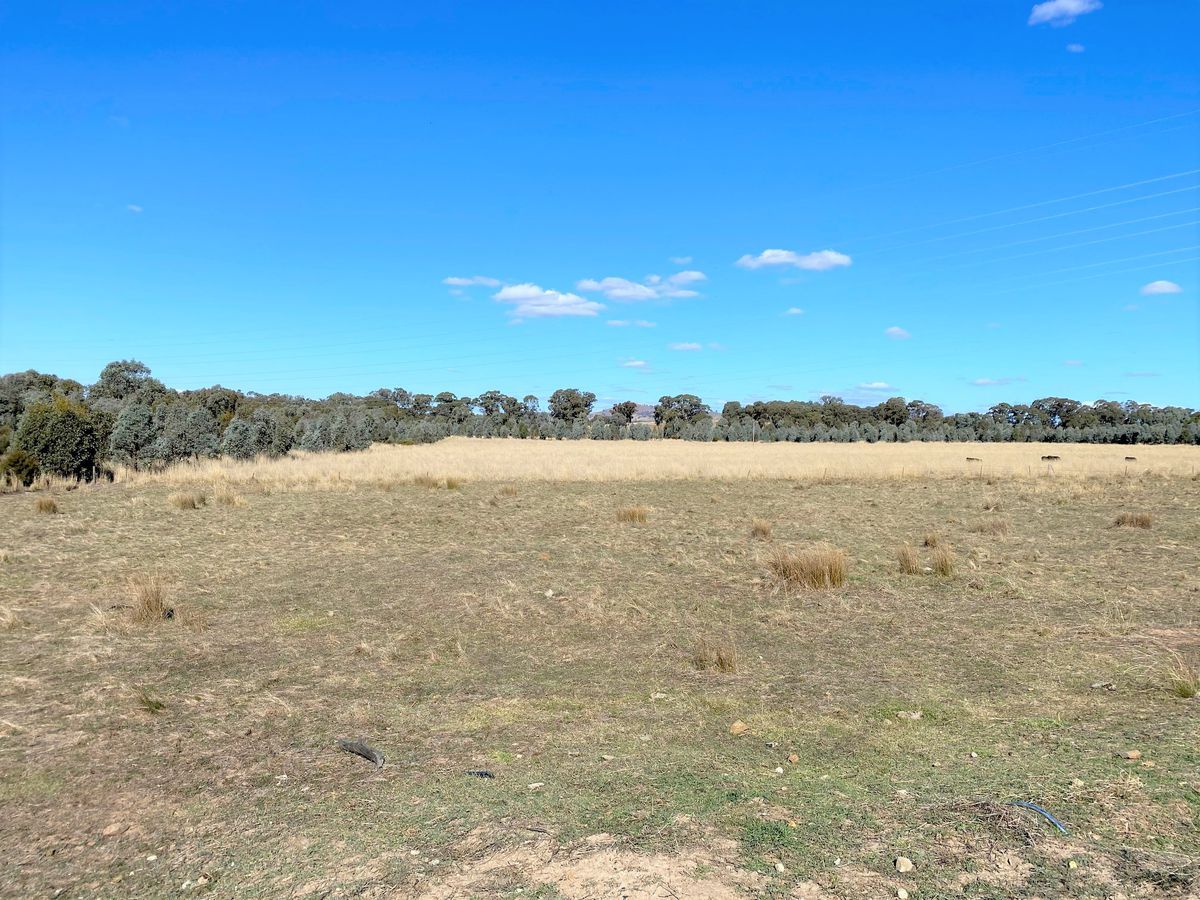 54  Eleven Mile Creek Road, Glenrowan West