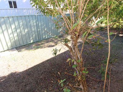 4 / 34 Colliton Parade, Forster