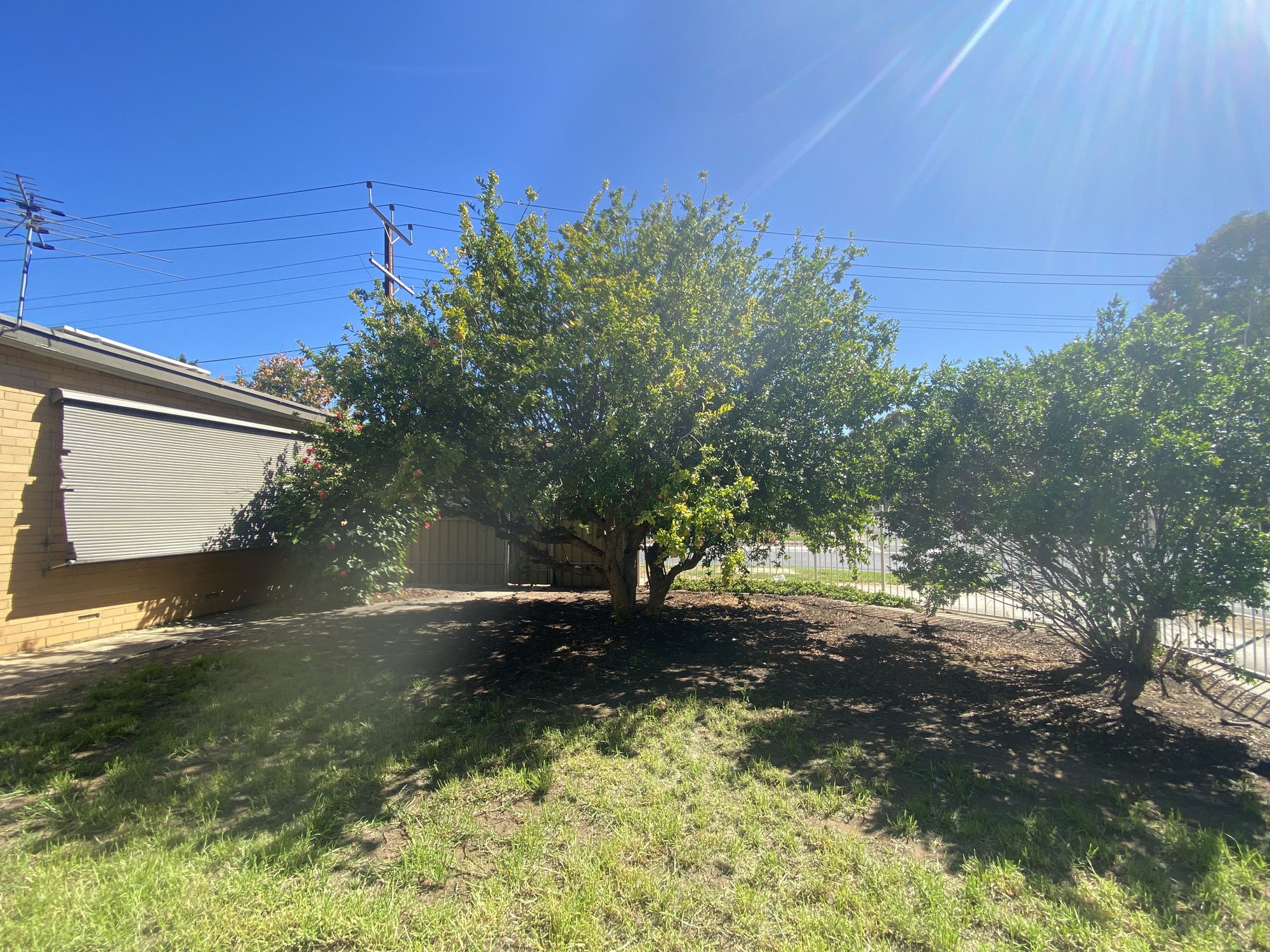 244 Days Road, Ferryden Park