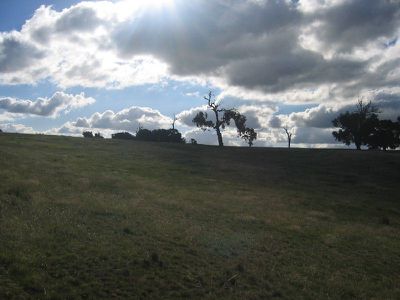 LOT 4 TUSCAN DRIVE, Heathcote