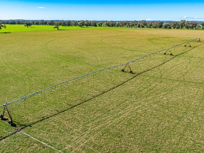 'Pastoria Park' 205 Balldale Road, Hopefield