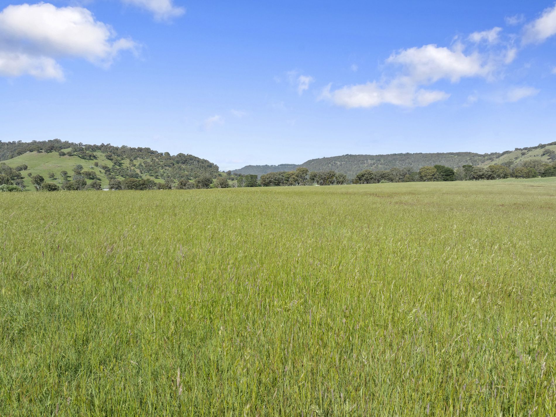 1477 Mansfield-Whitfield Road , Bridge Creek