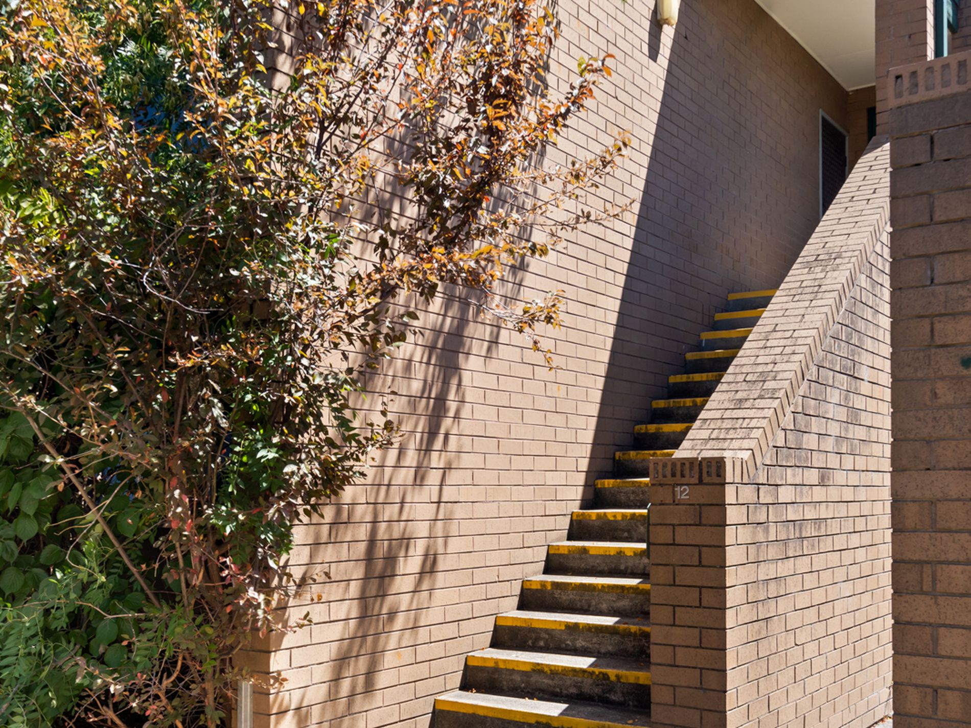 12 / 62-64 Hamilton Road, Bayswater North