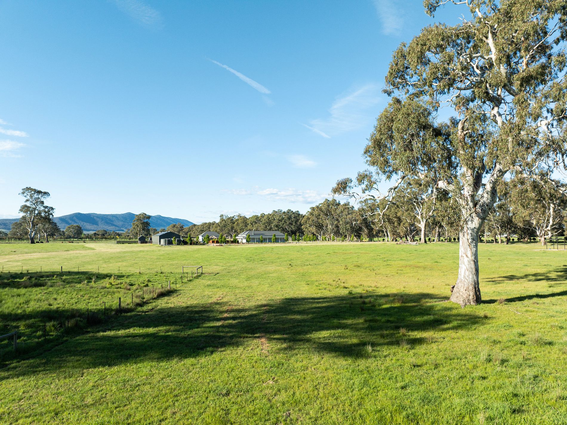 43 Dueran Lane, Mansfield