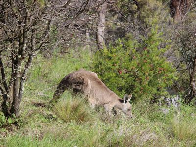760 Pine Ridge Road, Rock Forest