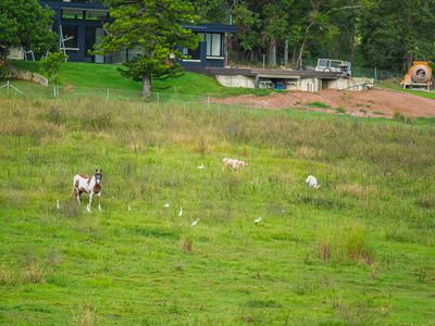 40 McGinn Road, Gheerulla