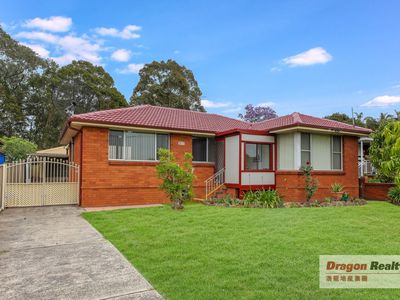 31 Shannon Avenue, Merrylands