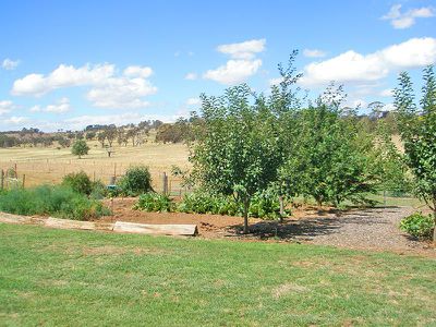 668 Barry Road, Neville